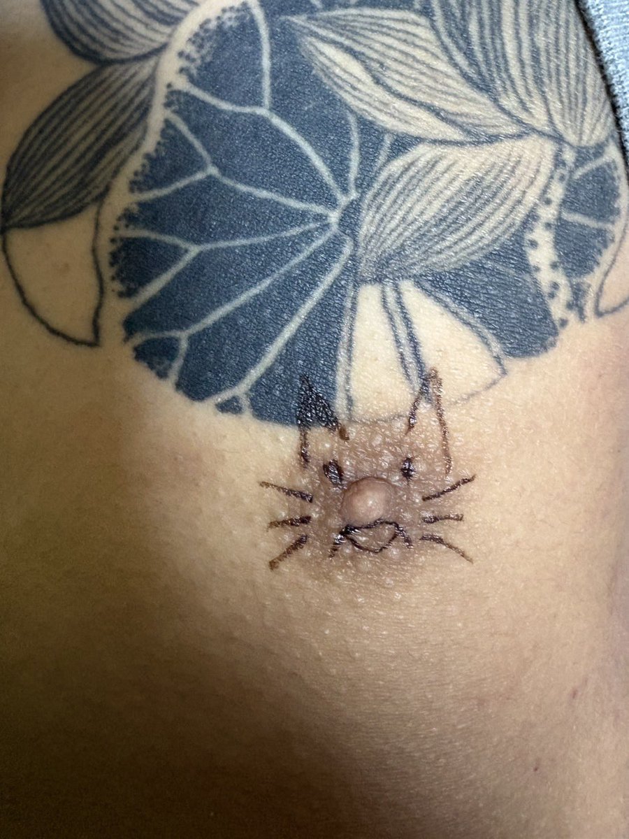 右きき tweet media