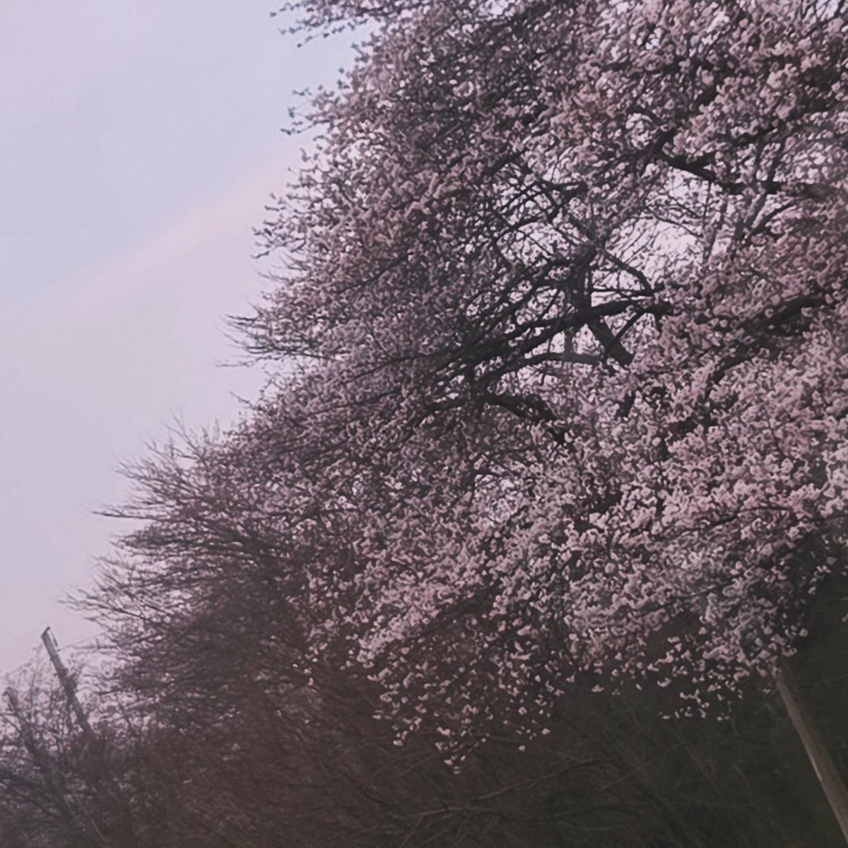 isumin111423's tweet photo. 집으로..돌아간다.. #우울계_𝕏친소 #정병계_𝕏친소 https://t.co/Fo1XzFE4yE