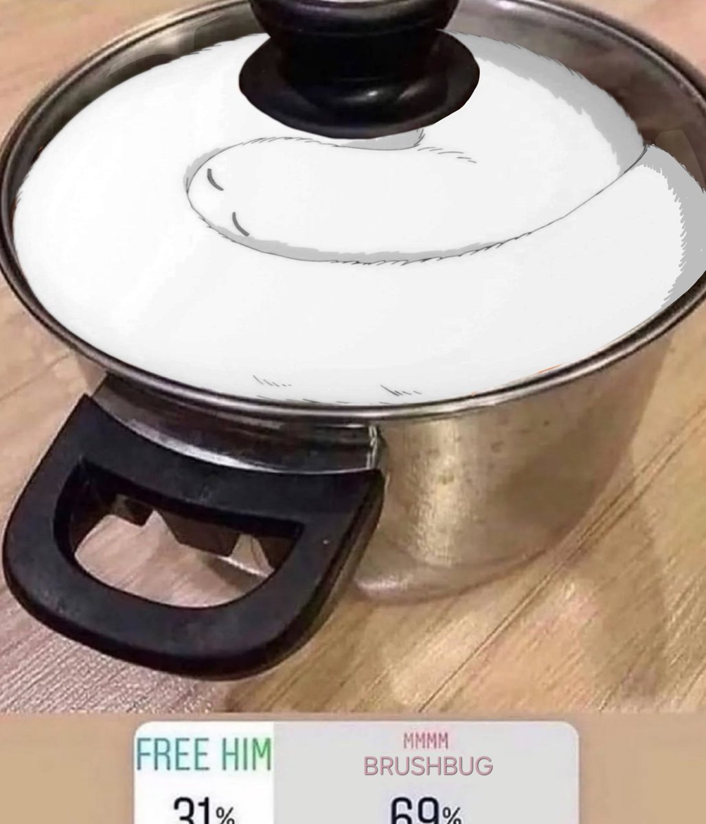 daily coco 🥑 tweet media