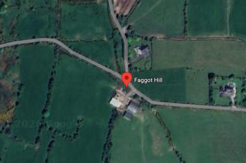 Sophia 🏳️‍⚧️ tweet media