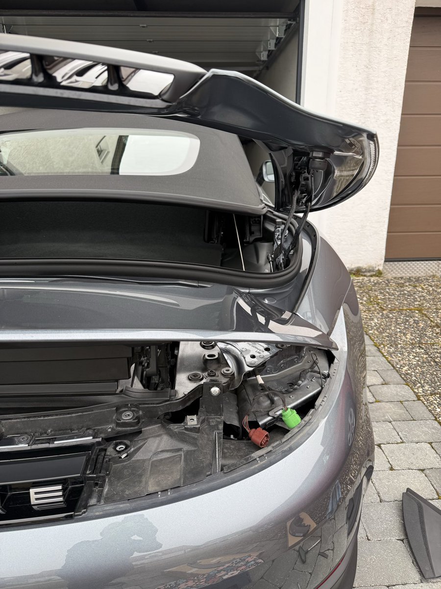 Steve 🐾 tweet media