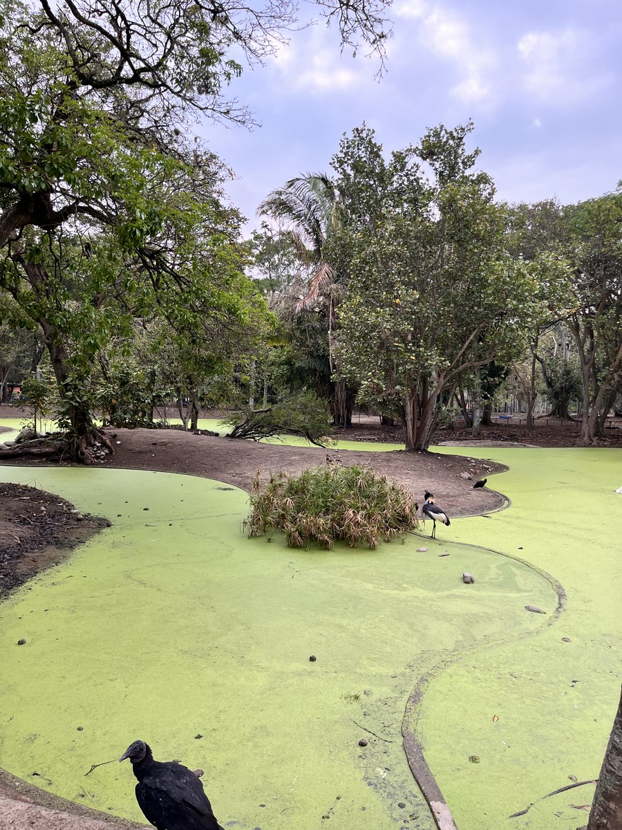 Maria Gabriela Escovar tweet media