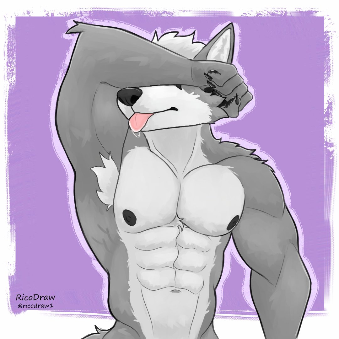 Rico🐾 tweet media