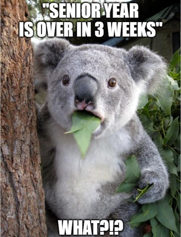 collegeboxes's tweet image. #college #senioryear #summer