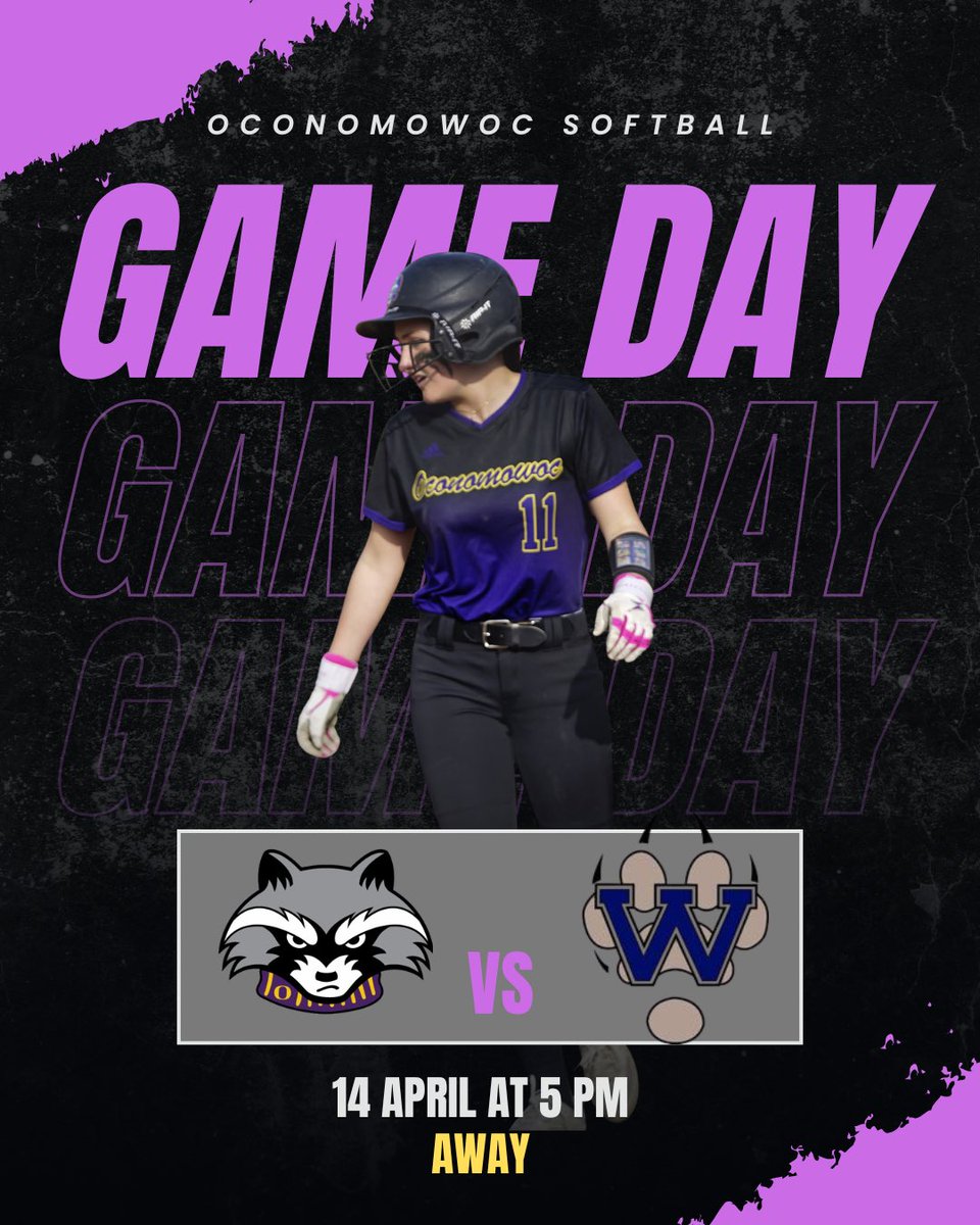 Oconomowoc High School Softball tweet media