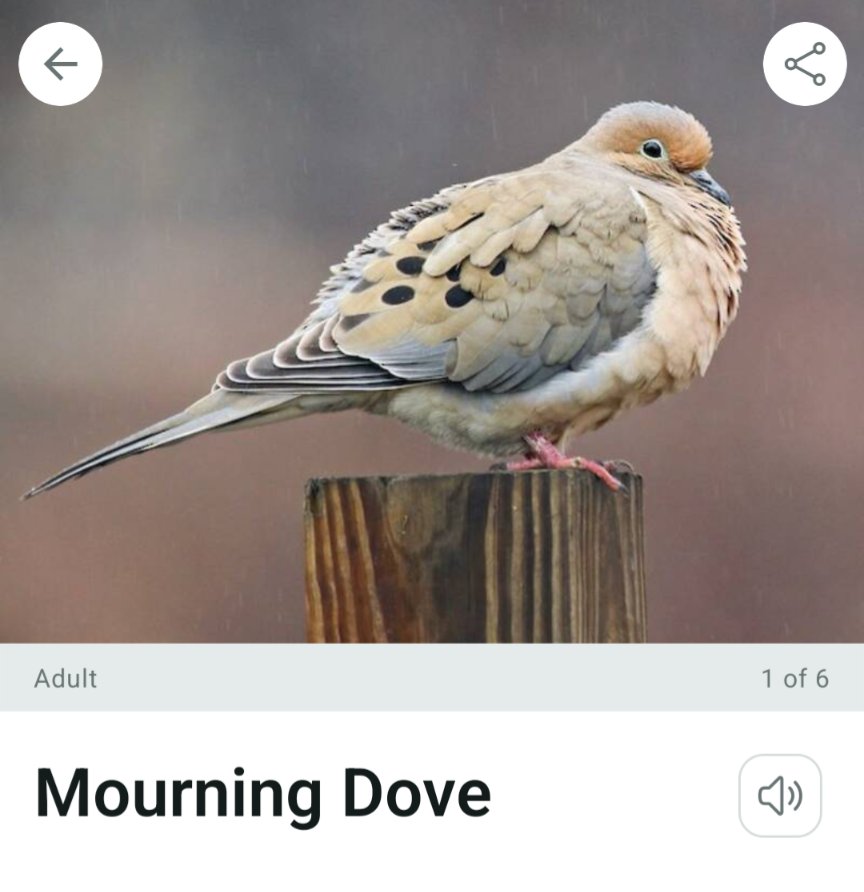 bisexual sailor punk rocker tweet media