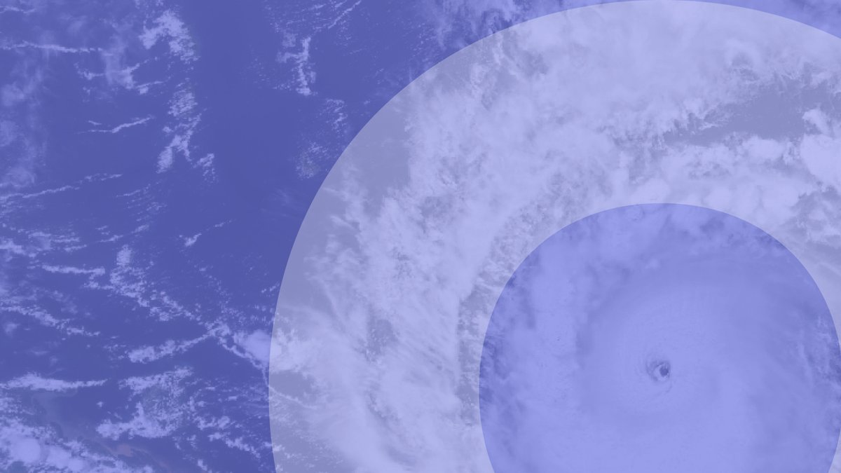 Open Contracting Partnership tweet media