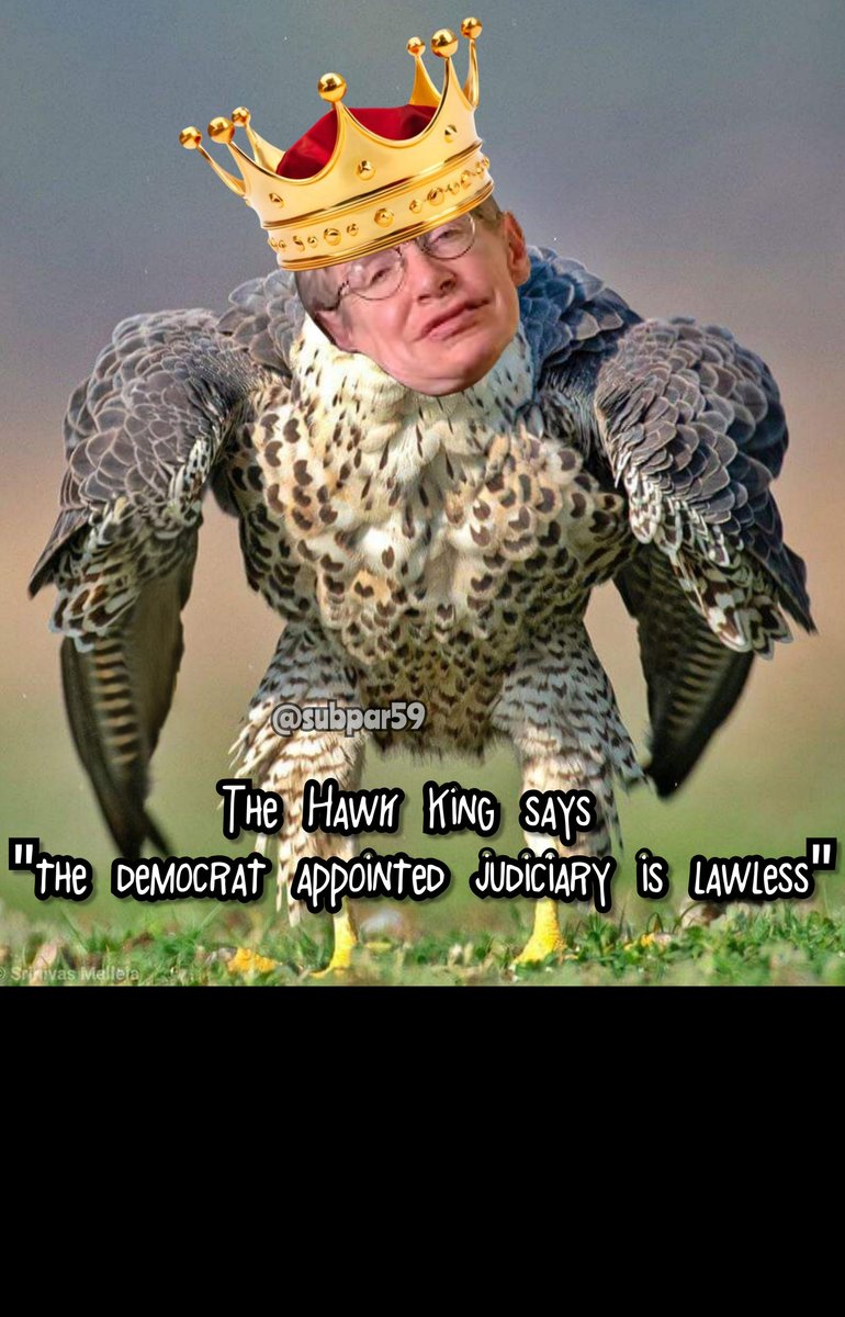 JrÖrN🇺🇲 tweet media