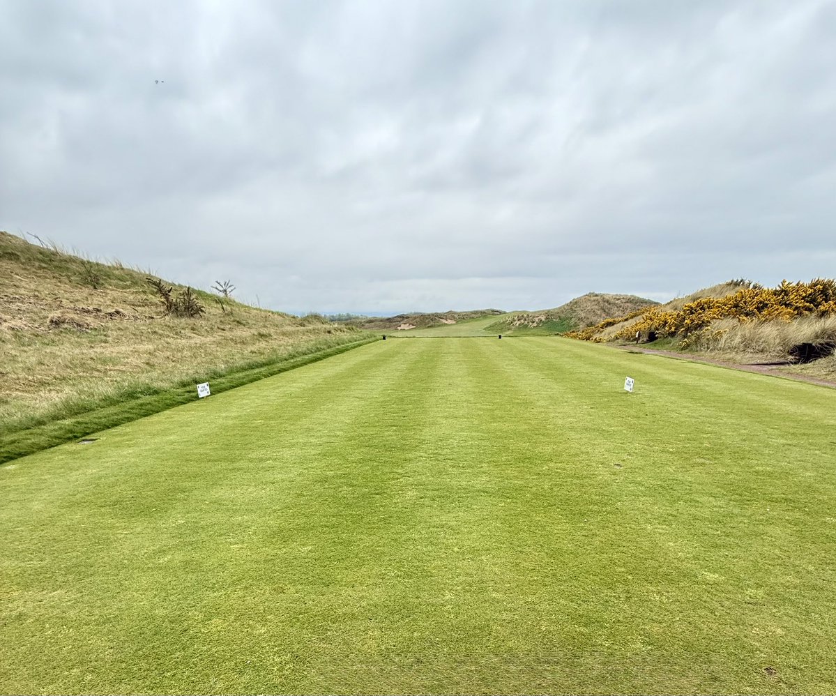 John Mcloughlin tweet media