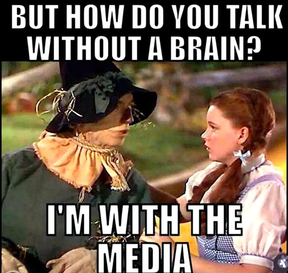 KNOT FOR NOTHING tweet media