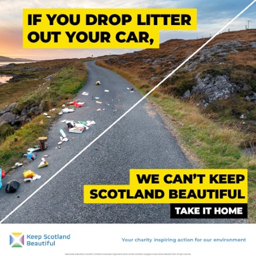BEAR M80 Trunk Road tweet media