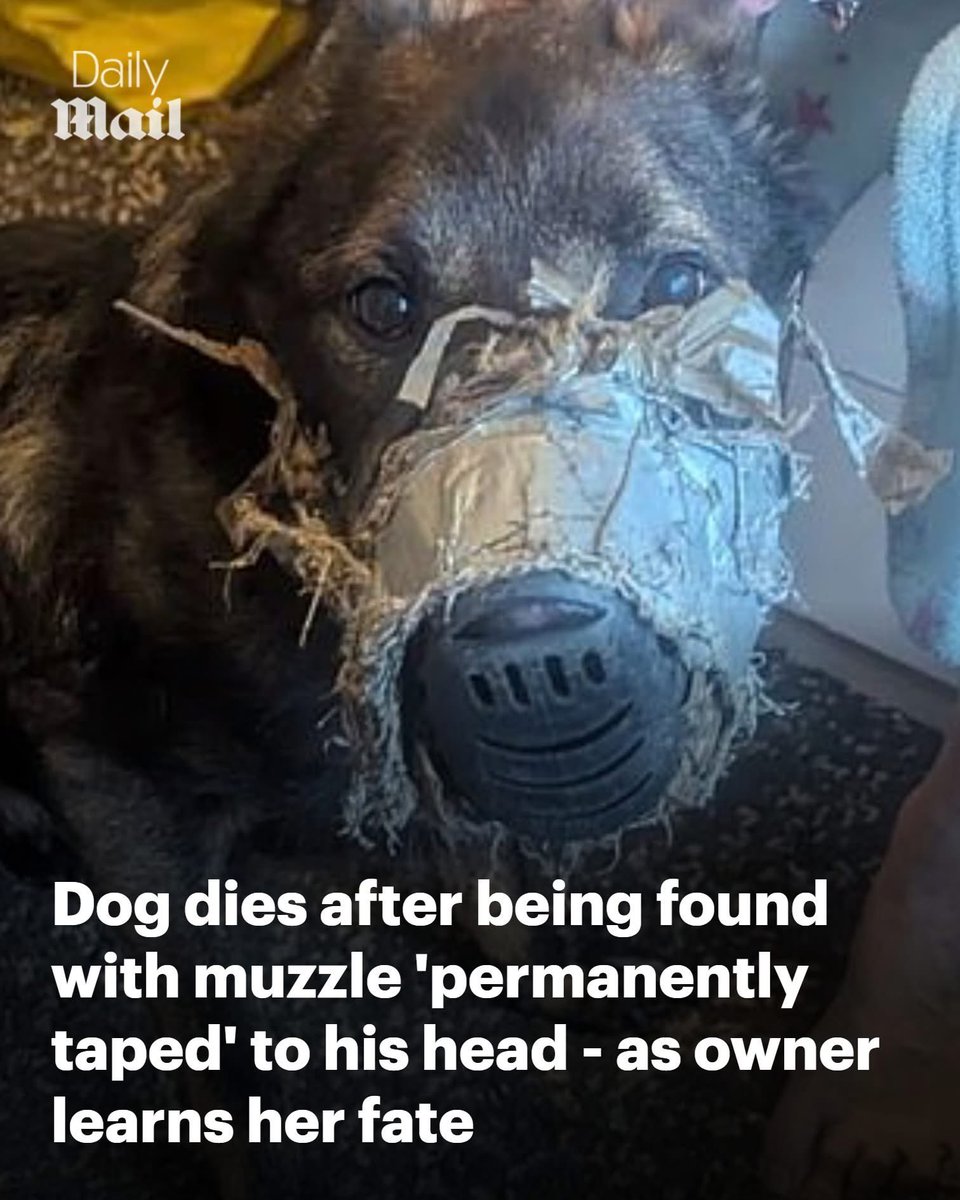 dominic dyer tweet media