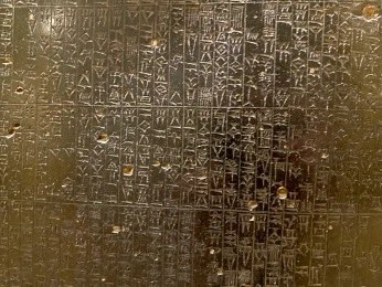 scientiasnet tweet media