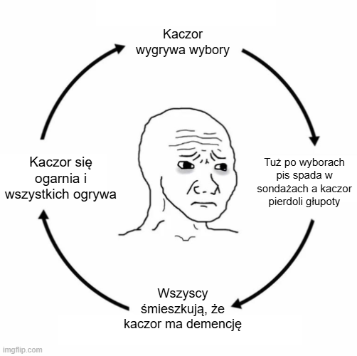 Dawid Zaczek tweet media
