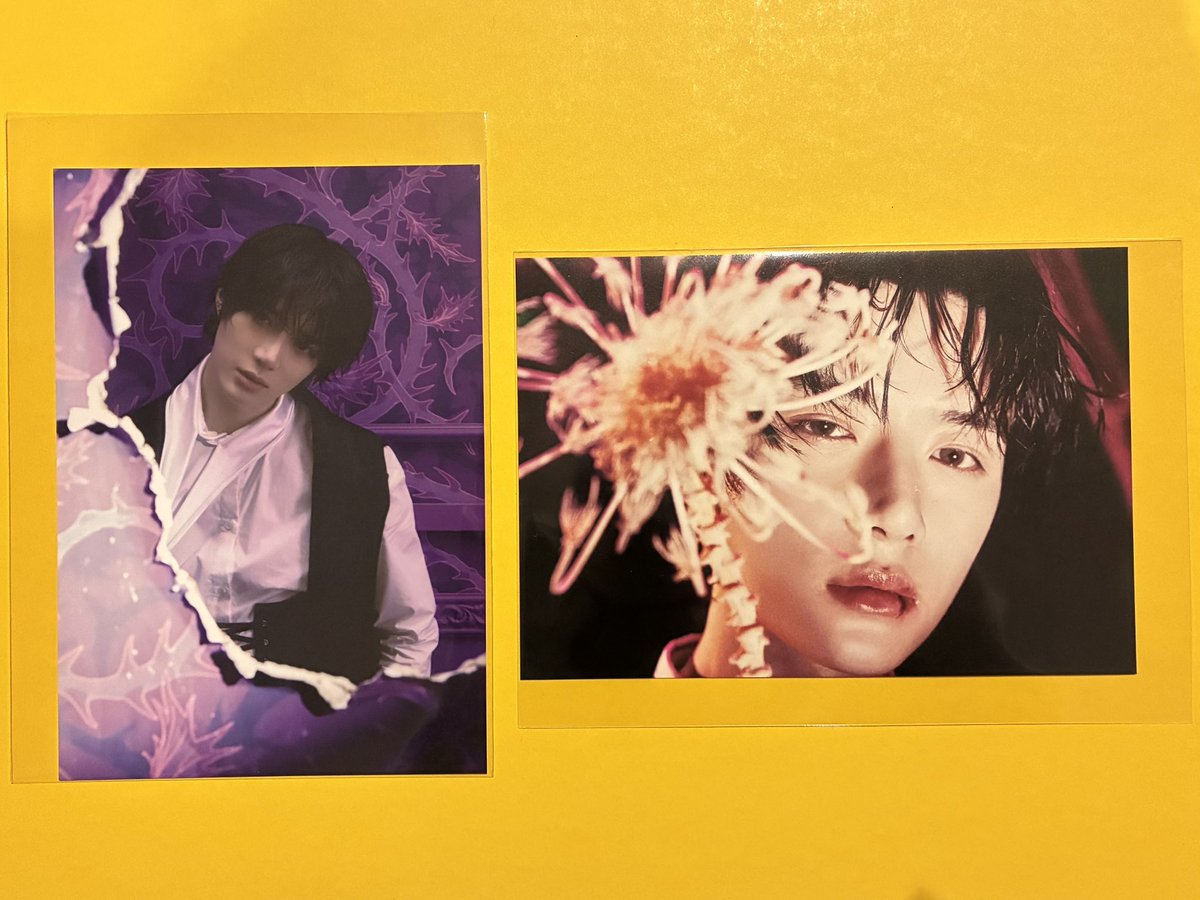 ワタシてゃん tweet media