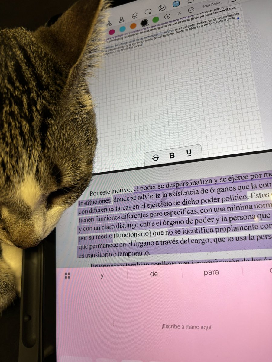 flo | studytwt tweet media