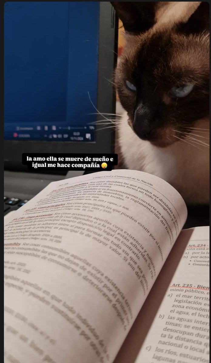 flo | studytwt tweet media