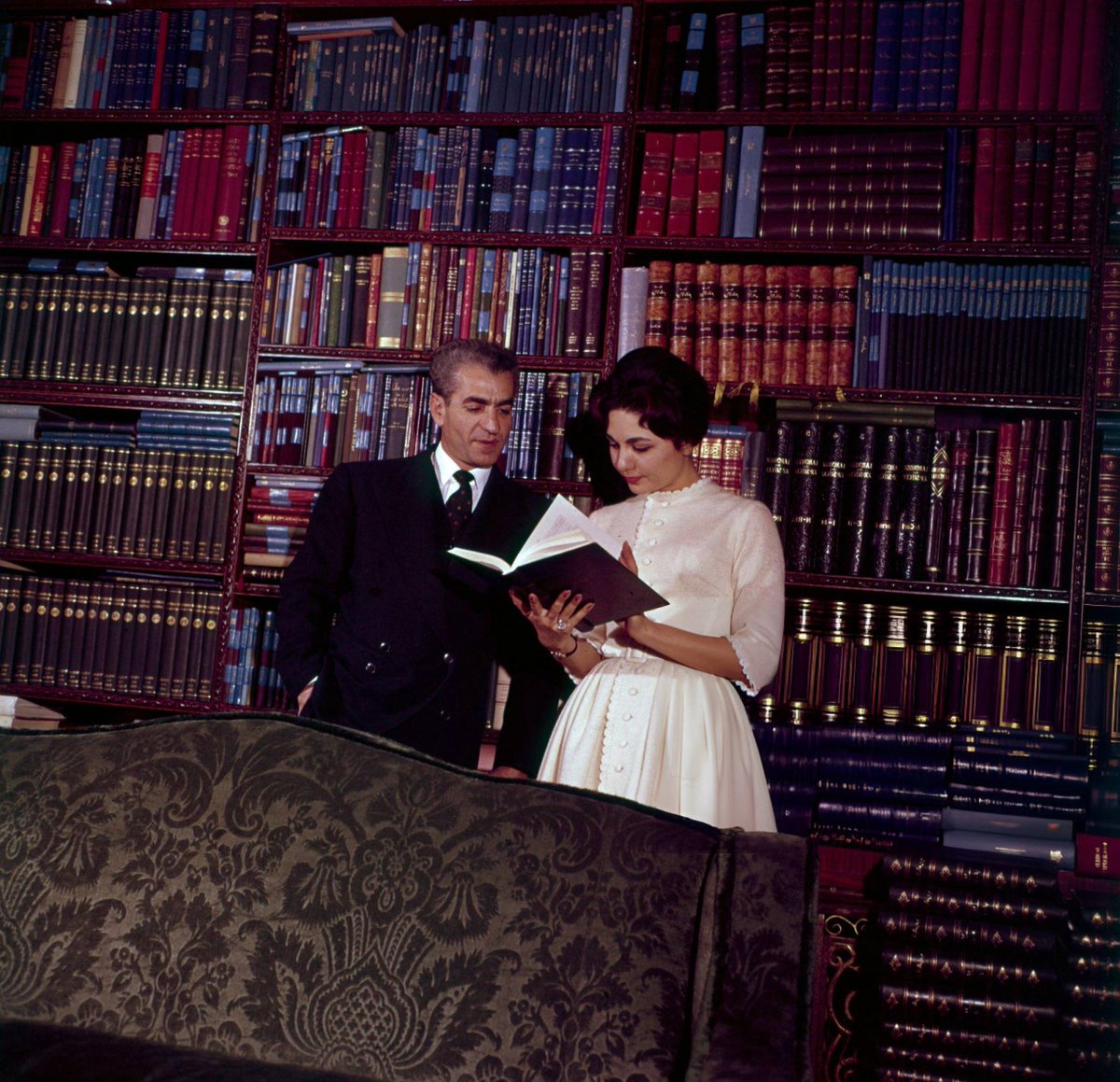 Ahmadi zadeh tweet media