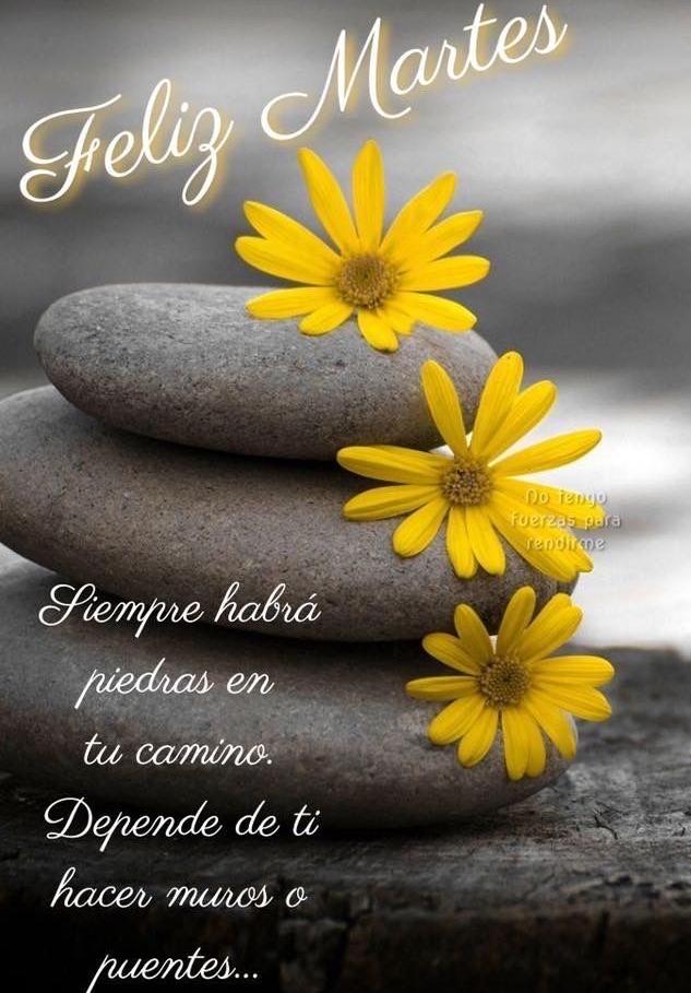 Mirta Parra 🇦🇷 tweet media