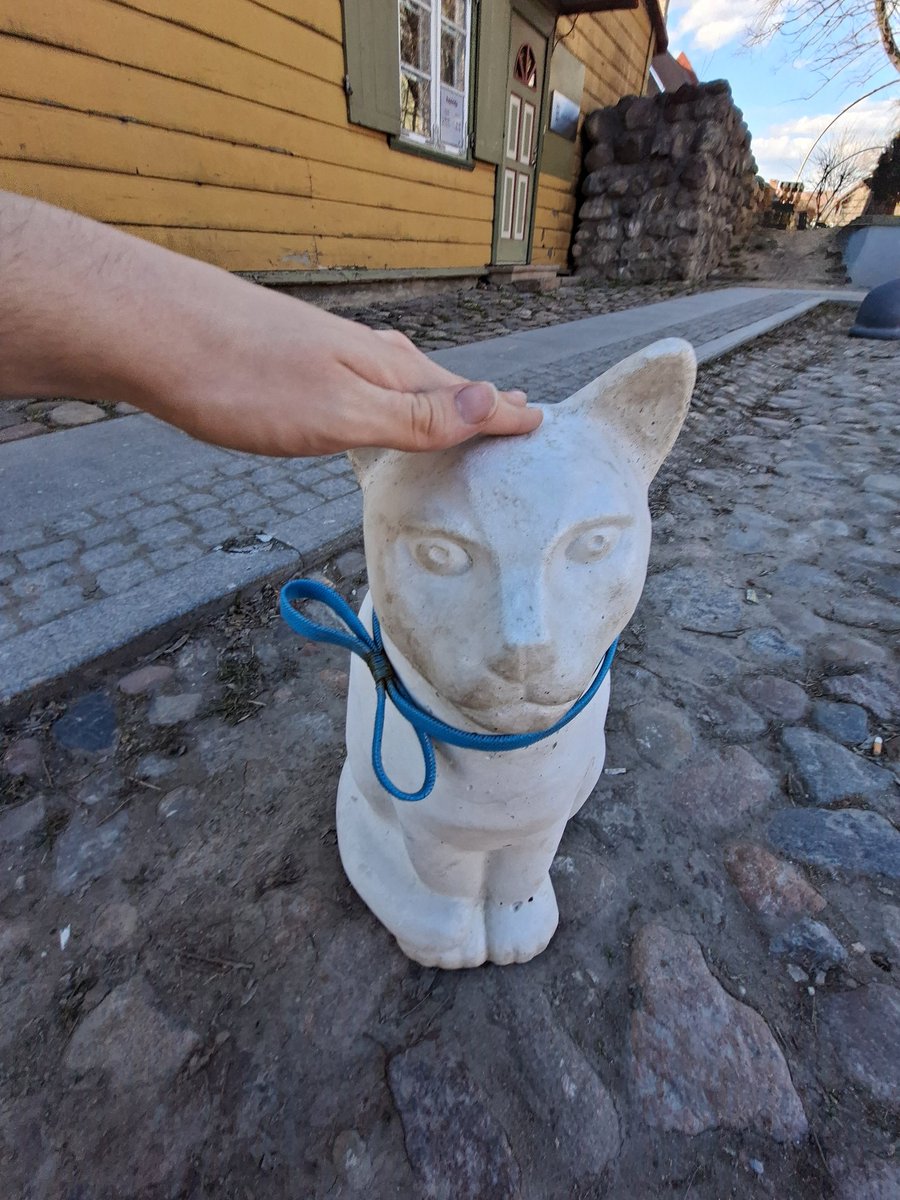 estokene 🇪🇪 tweet media