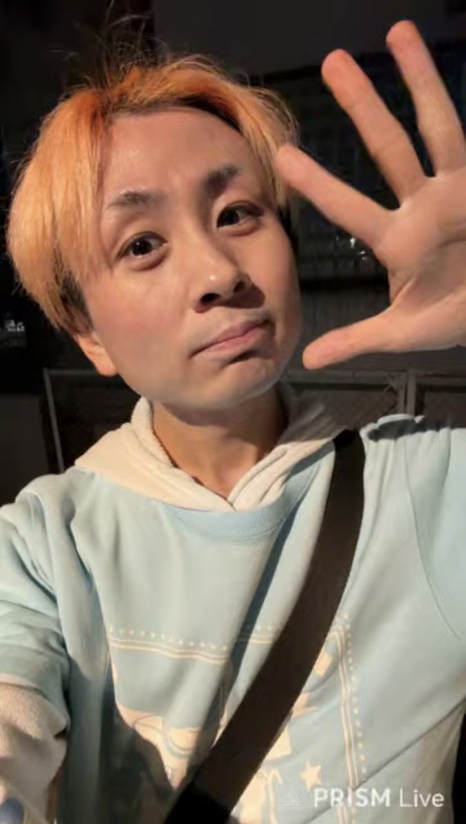 ドリームキャッチ tweet media