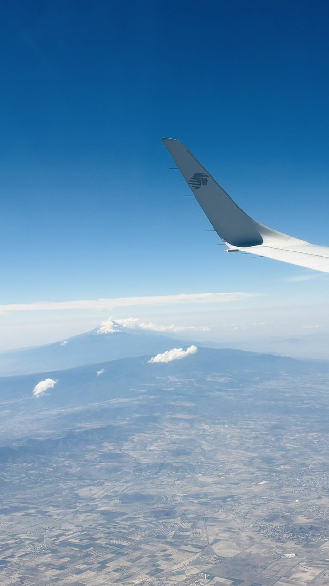 Ana Elena tweet media