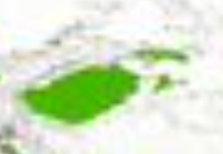 砂糖桔梗 tweet media