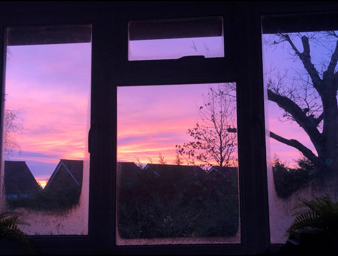 SakuraPawss8's tweet image. 🍁✨—nature really said “open up, I’ve got a masterpiece for you.”
#AutumnVibes #FallColors #NatureAtItsBest #CozyViews #GoldenHour #Aesthetic #NatureLovers #PeacefulMoments #ViralPost #BeautyOfNature