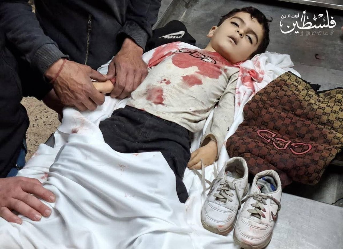 أدهم أبو سلمية tweet media