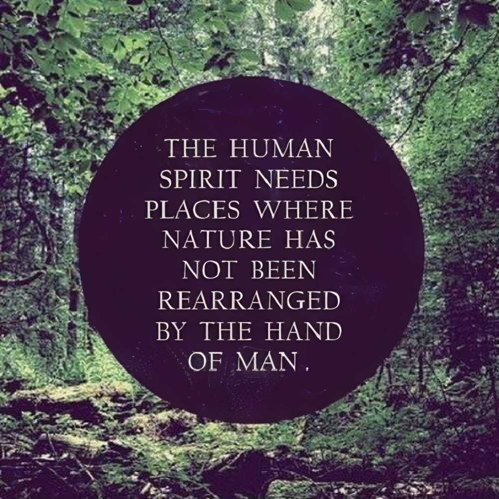 atomicskunk's tweet photo. #humanspirit #innerself #5d #staywander #wilderness #theoutbound #discovernature #desolationwilderness #adventure #adventureculture #natureartwork #naturelovers #naturepatterns  #naturetherapy #treehugger #forestbathing #rewild #pachamamalove #protectnature #rewilding https://t.co/p8XezEUlL3