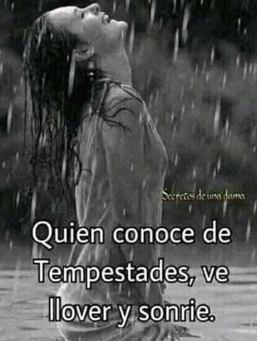 lou grant 61 (@lougrant61) on Twitter photo 