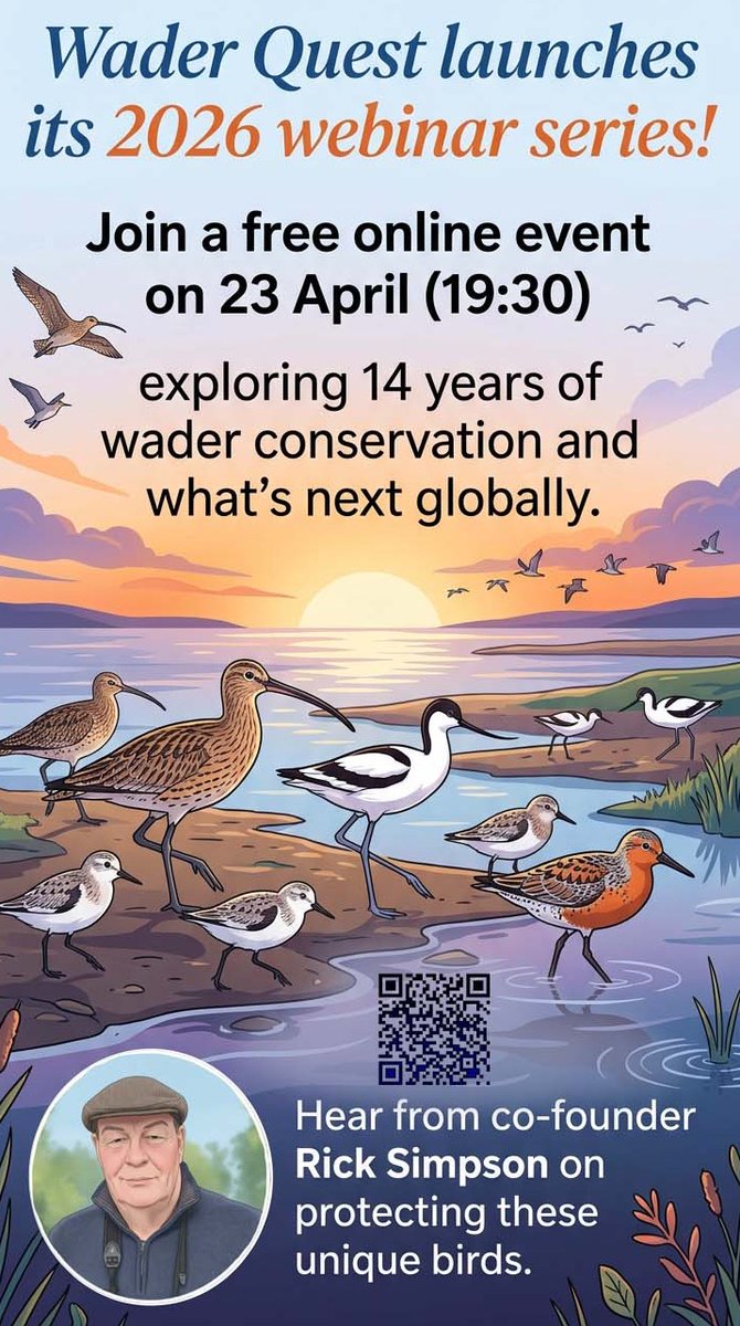 waderquest's tweet image. Don't forget the Wader Quest Webinar on 23 April 
Co-founder Rick Simpson shares insights on protecting waders from habitat loss, pollution, &amp;amp; climate change.
Register now to receive your  link the day before the event.
Be #inspired #waders or #shorebirds
tickettailor.com/events/waderqu…