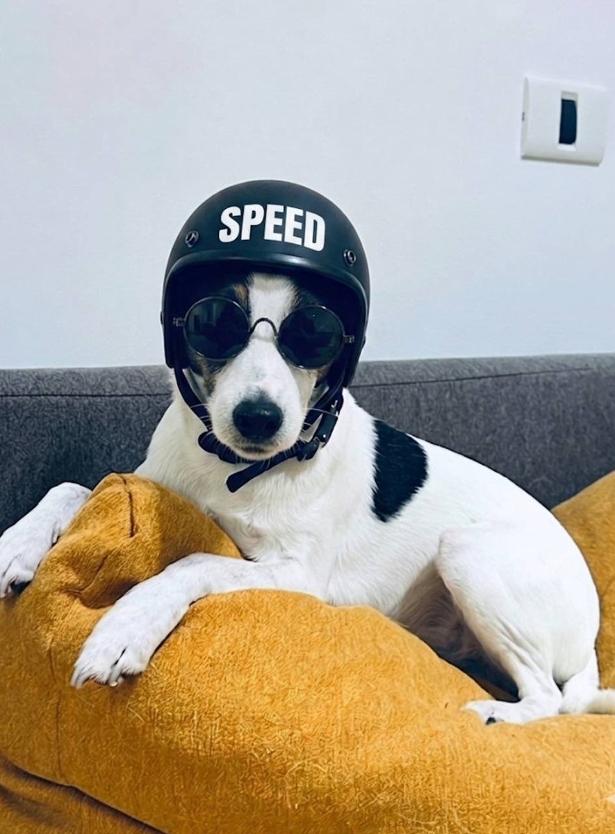 ChartFu's tweet image. vespa season