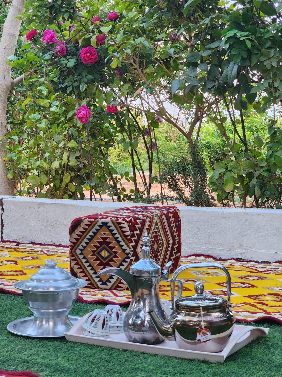 شمالي tweet media