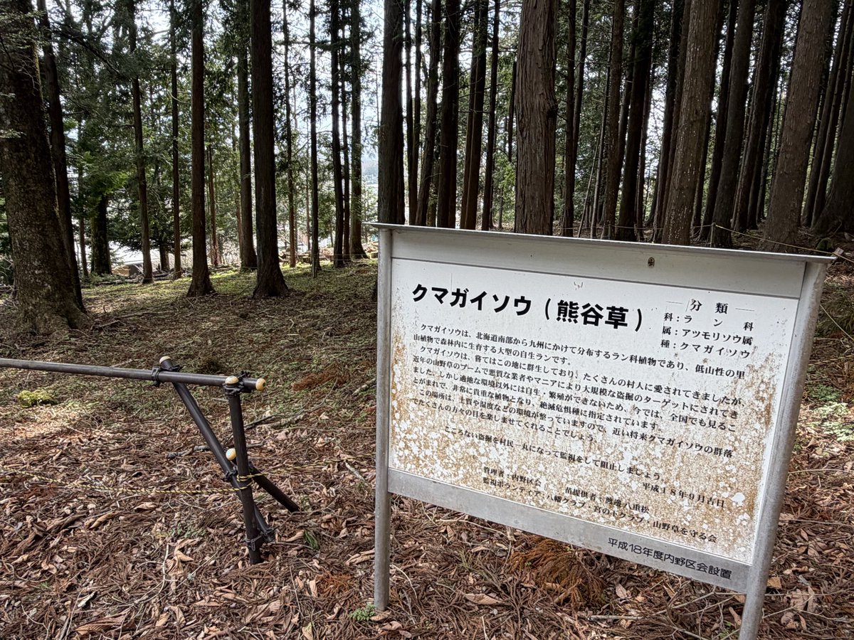 MINI_CHECKMATER's tweet photo. 今日のランチは
富士山🗻のふもと。
地元はもう葉桜だけど
忍野は今が満開🌸でした。
えっ❗️熊がいそうとの事😅。

お豆腐を買って、仕込み水を頂いて
道志道にて帰還しました。
途中、宮ヶ瀬湖の水位がヤバ〜い💦❗️
￼ https://t.co/GBqOeNunWT