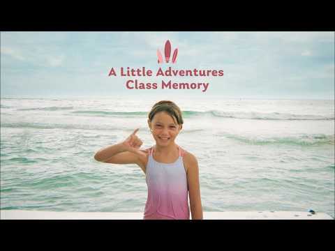 Gulf Beach Real Estate tweet media