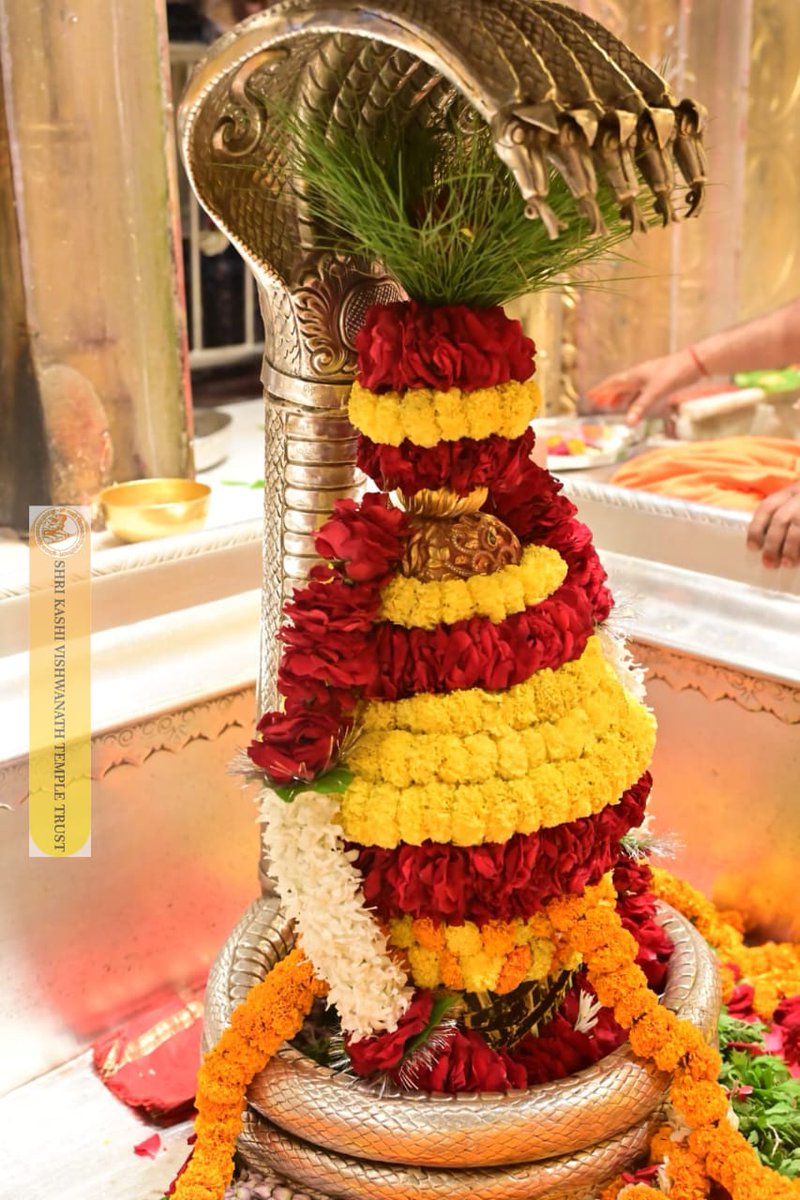 ShriVishwanath's tweet image. श्री काशी विश्वनाथ जी की श्रृंगार आरती I
#kashivishwanath #kashi #hindu #sanatandharm