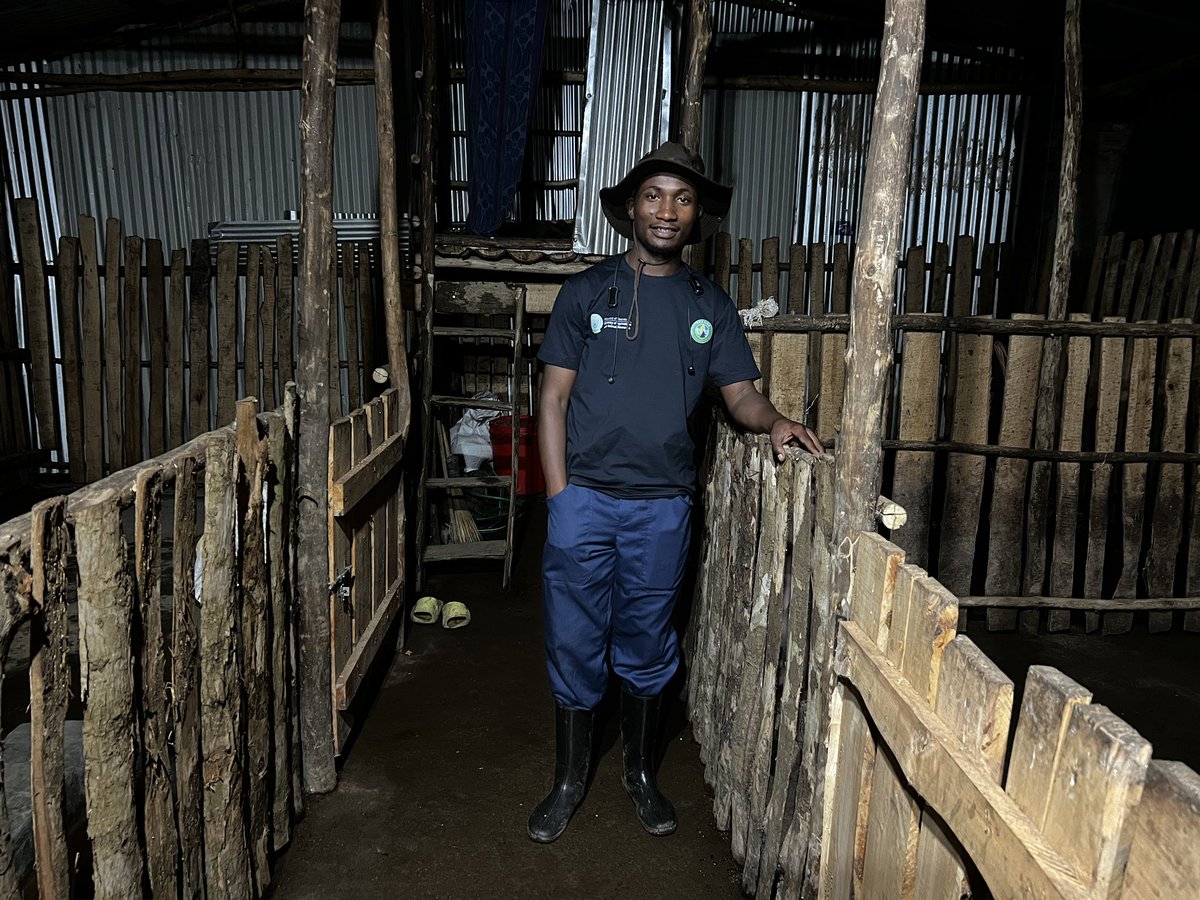 AGRONOMME 🇷🇼 tweet media