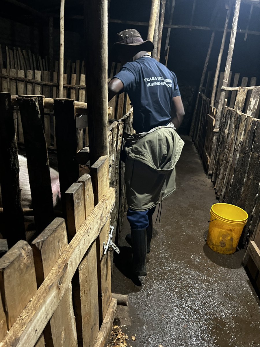 AGRONOMME 🇷🇼 tweet media