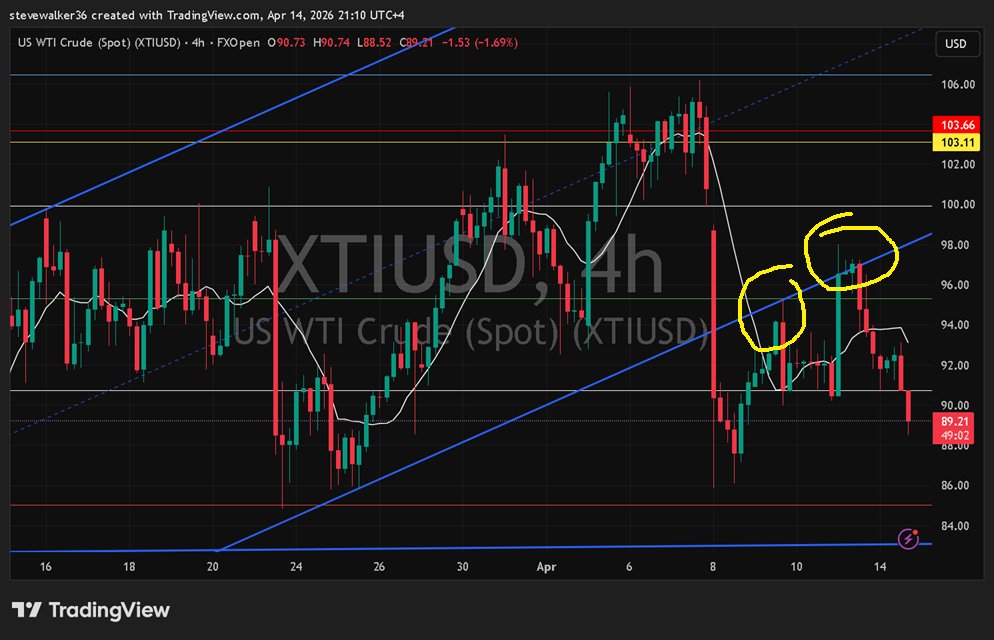 Steve Walker 🌈⏳ tweet media