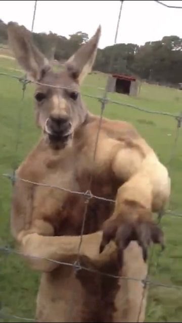 콩지𝄞 tweet media