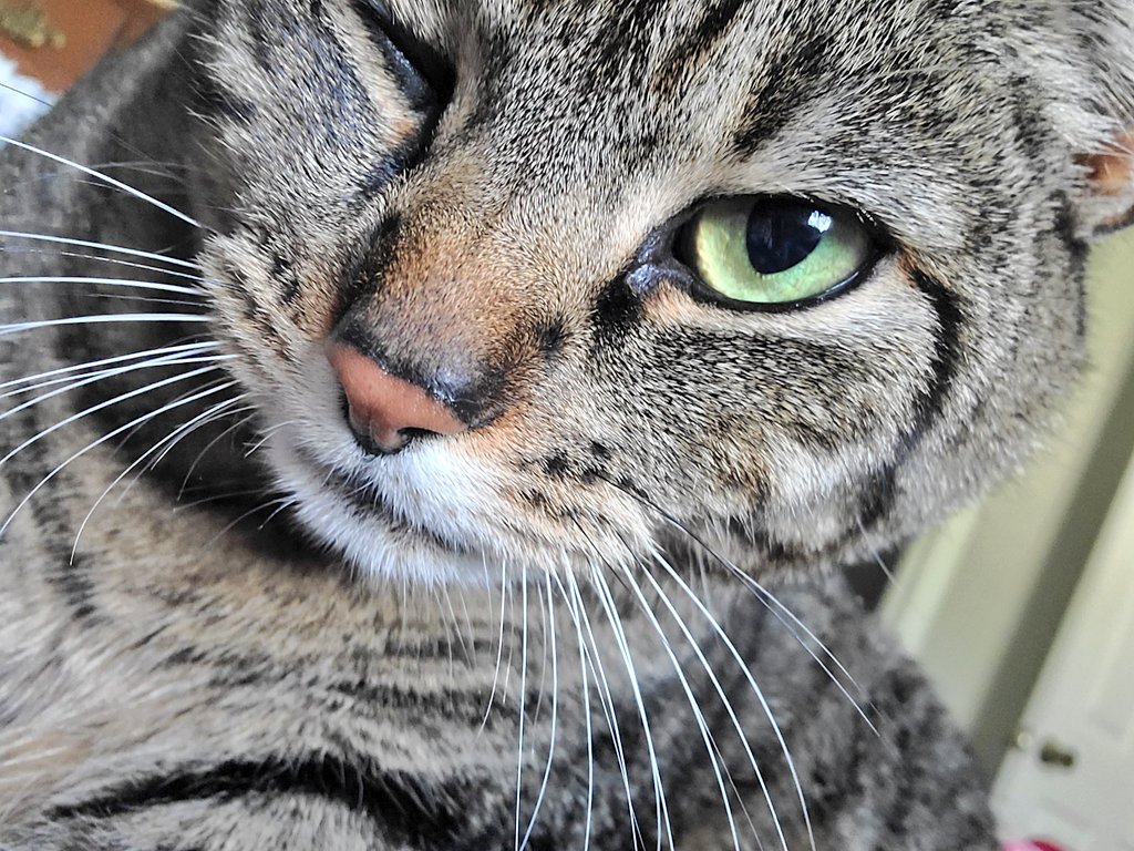 rachel is cringe tweet media