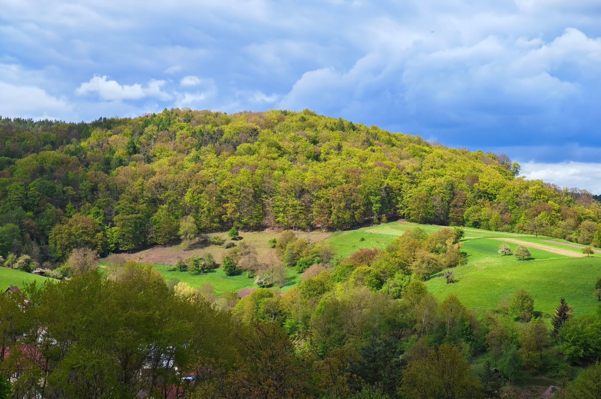 ShinyLink ✨ tweet media