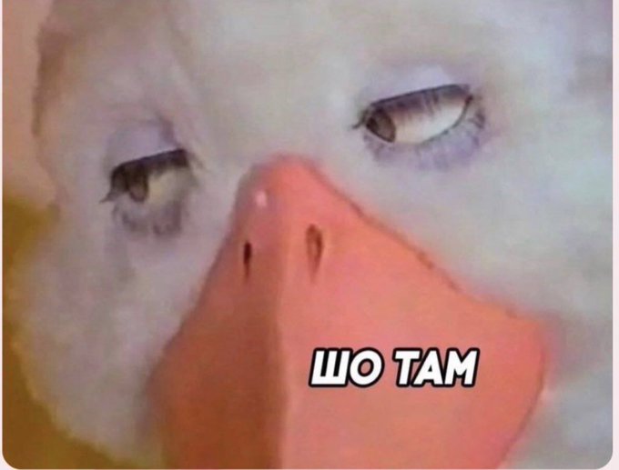 βehemoth tweet media