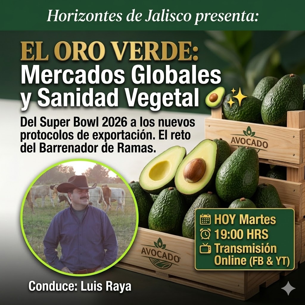 CongresoJalTV's tweet photo. ¿Tu huerta está blindada contra el Barrenador? 🥑🛡️

Hoy en #HorizontesDeJalisco, Luis Raya analiza el impacto del "Oro Verde" en 2026 y cómo proteger tu producción para la exportación. 🐛🚫

¡Acompáñanos!
⏰ 19:00 hrs.

📺 TV Abierta: 17.3
🌐 En vivo: Facebook, YouTube y X.

¡Desde la raíz! 🌱✨ 

@AsicaJalisco 
.
.
.
#Aguacate #Jalisco #SanidadVegetal #Agro #LuisRaya #Exportación