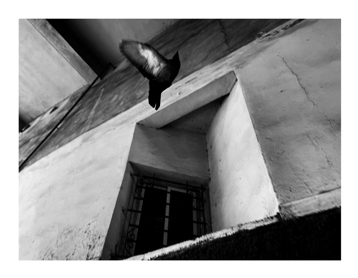 a syd trip tweet media