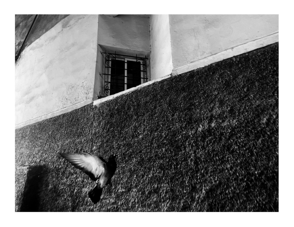 a syd trip tweet media