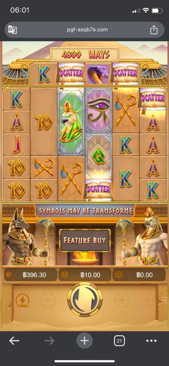 🌷MAYA🌷 tweet media