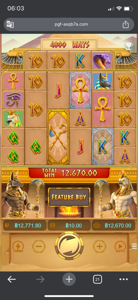 🌷MAYA🌷 tweet media