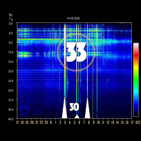 𝔻𝕚𝕤𝕔𝕝𝕠𝕤𝕦𝕣𝕖 ℕ𝕖𝕨𝕤 🔅 tweet media